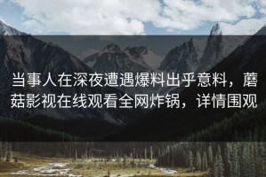 当事人在深夜遭遇爆料出乎意料，蘑菇影视在线观看全网炸锅，详情围观