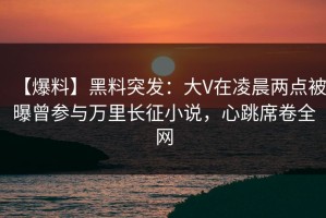 【爆料】黑料突发：大V在凌晨两点被曝曾参与万里长征小说，心跳席卷全网