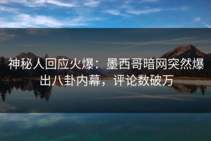 神秘人回应火爆：墨西哥暗网突然爆出八卦内幕，评论数破万
