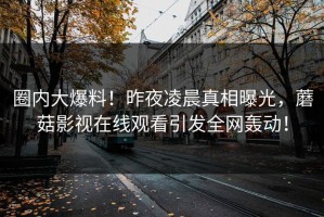圈内大爆料！昨夜凌晨真相曝光，蘑菇影视在线观看引发全网轰动！