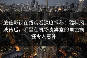 蘑菇影视在线观看深度揭秘：猛料风波背后，明星在机场贵宾室的角色疯狂令人意外