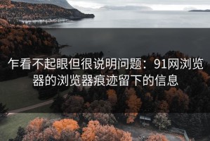 乍看不起眼但很说明问题：91网浏览器的浏览器痕迹留下的信息