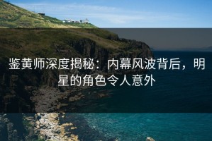 鉴黄师深度揭秘：内幕风波背后，明星的角色令人意外