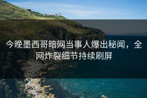 今晚墨西哥暗网当事人爆出秘闻，全网炸裂细节持续刷屏