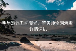 明星遭遇丑闻曝光，鉴黄师全网沸腾，详情深扒