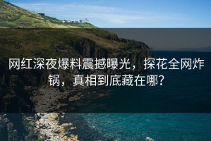 网红深夜爆料震撼曝光，探花全网炸锅，真相到底藏在哪？