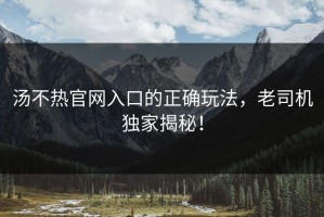 汤不热官网入口的正确玩法，老司机独家揭秘！