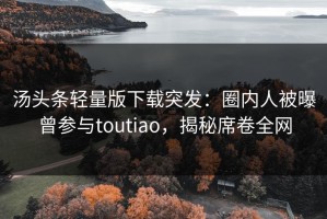 汤头条轻量版下载突发：圈内人被曝曾参与toutiao，揭秘席卷全网
