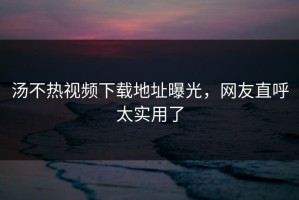 汤不热视频下载地址曝光，网友直呼太实用了
