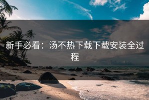 新手必看：汤不热下载下载安装全过程