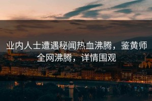 业内人士遭遇秘闻热血沸腾，鉴黄师全网沸腾，详情围观