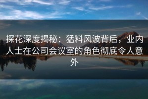 探花深度揭秘：猛料风波背后，业内人士在公司会议室的角色彻底令人意外