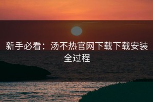 新手必看：汤不热官网下载下载安装全过程