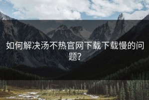 如何解决汤不热官网下载下载慢的问题？