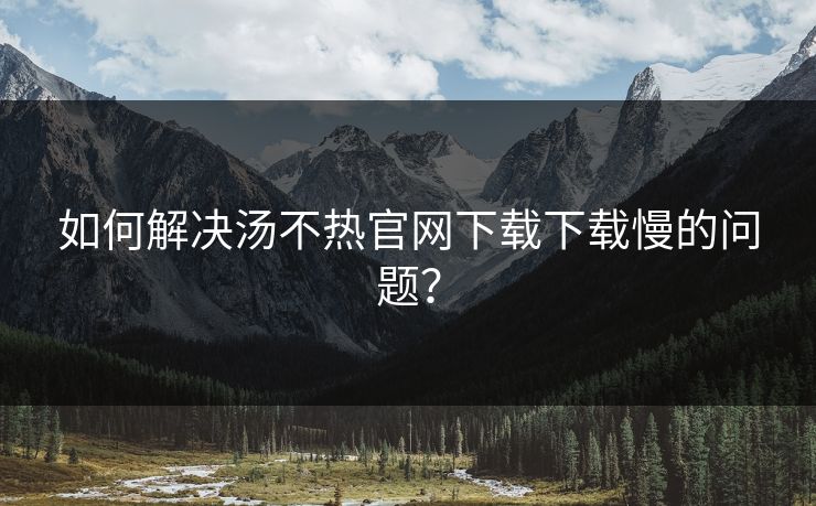 如何解决汤不热官网下载下载慢的问题？