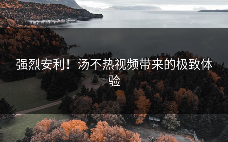 强烈安利！汤不热视频带来的极致体验