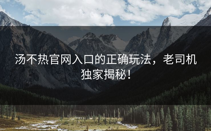 汤不热官网入口的正确玩法，老司机独家揭秘！