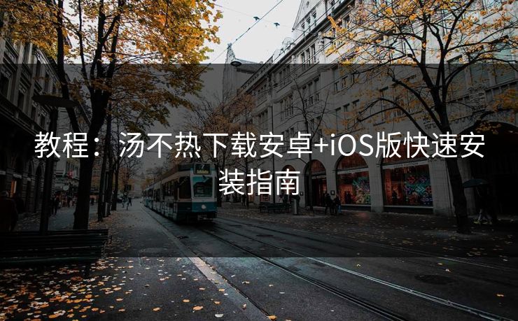 教程：汤不热下载安卓+iOS版快速安装指南