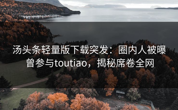 汤头条轻量版下载突发：圈内人被曝曾参与toutiao，揭秘席卷全网