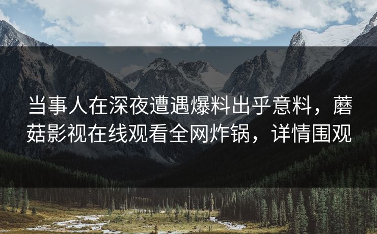 当事人在深夜遭遇爆料出乎意料，蘑菇影视在线观看全网炸锅，详情围观