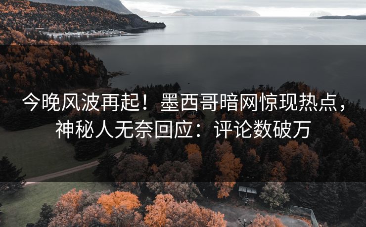 今晚风波再起!墨西哥暗网惊现热点,神秘人无奈回应:评论数破万 今晚风波再起!墨西哥暗网惊现热点,神秘人无奈回应:评论数破万