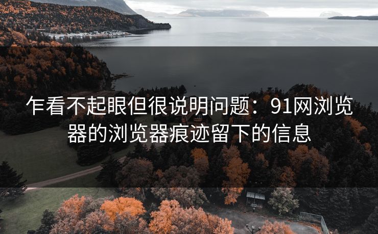 乍看不起眼但很说明问题:91网浏览器的浏览器痕迹留下的信息 乍看不起眼但很说明问题:91网浏览器的浏览器痕迹留下的信息